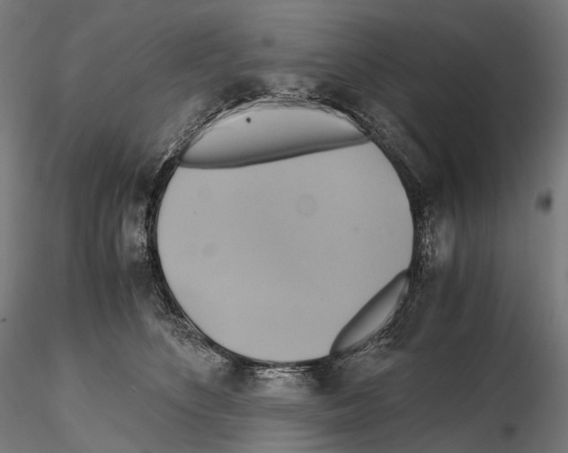 X0000114700516200912021111