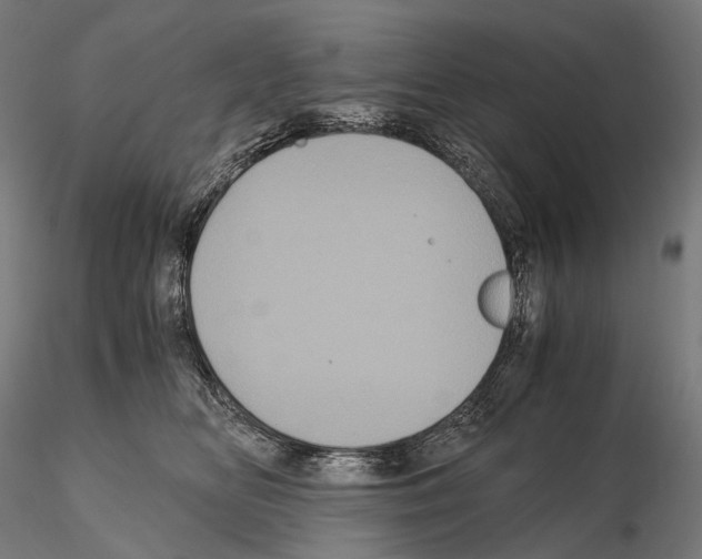 X0000114700518200912021111