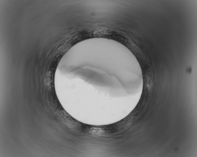 X0000114700519200912021111