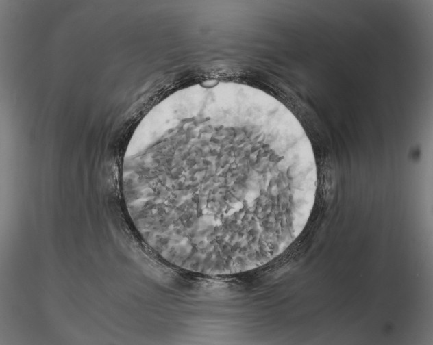 X0000114700523200912021111