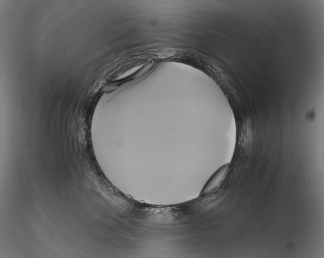 X0000114700524200912021111