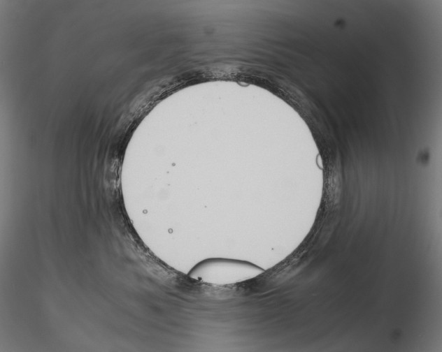 X0000114700525200912021111