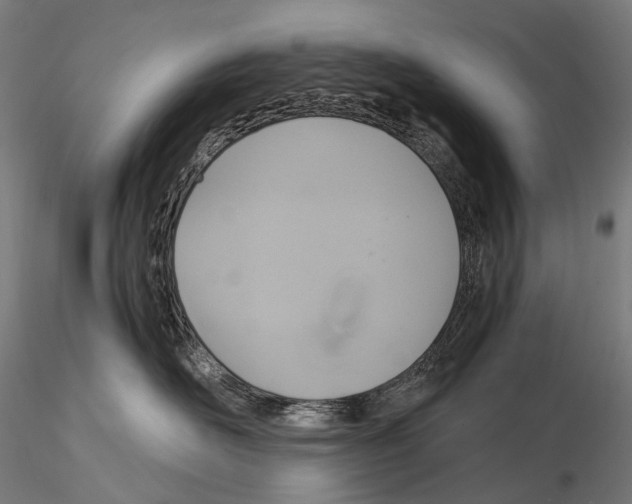 X0000114700526200912021111