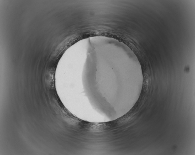 X0000114700527200912021111