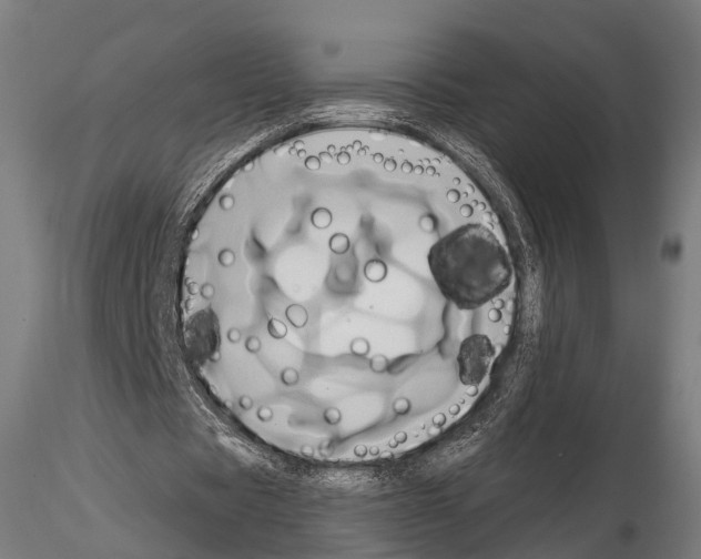 X0000114700529200912021110