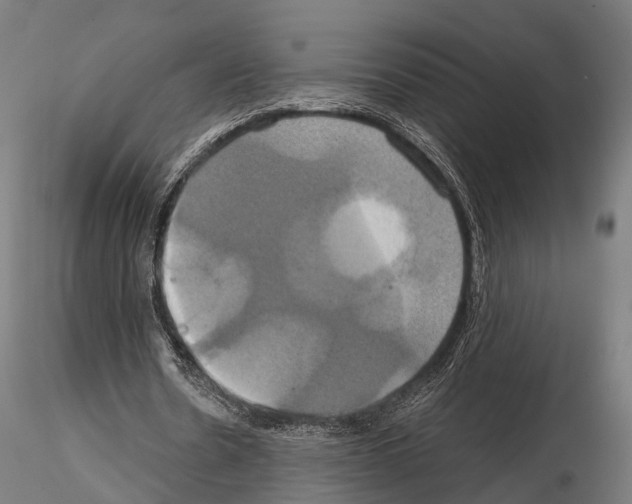 X0000114700530200912021110