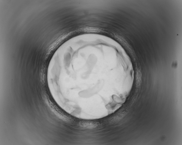 X0000114700533200912021110