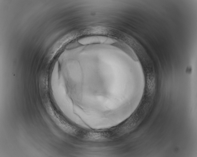 X0000114700534200912021110