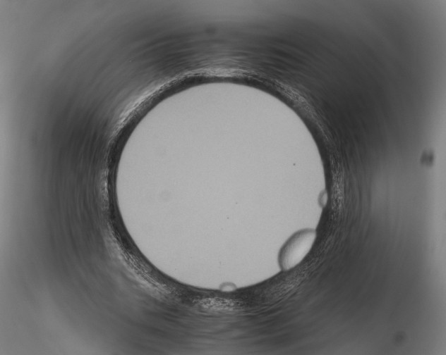 X0000114700535200912021110