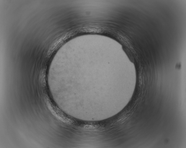 X0000114700538200912021110