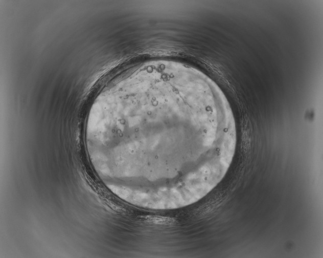 X0000114700539200912021110