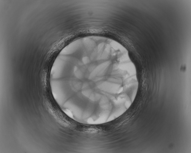 X0000114700542200912021110