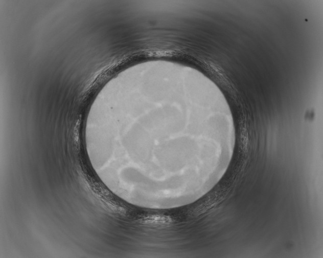 X0000114700543200912021110