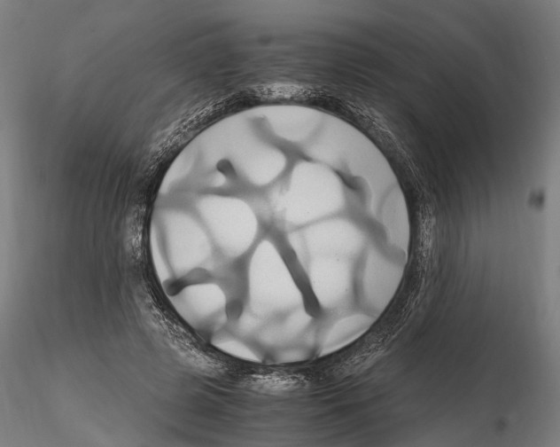 X0000114700545200912021110