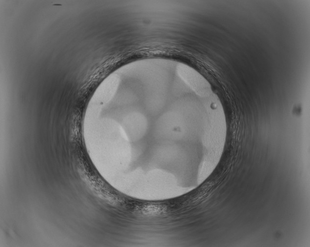 X0000114700546200912021110