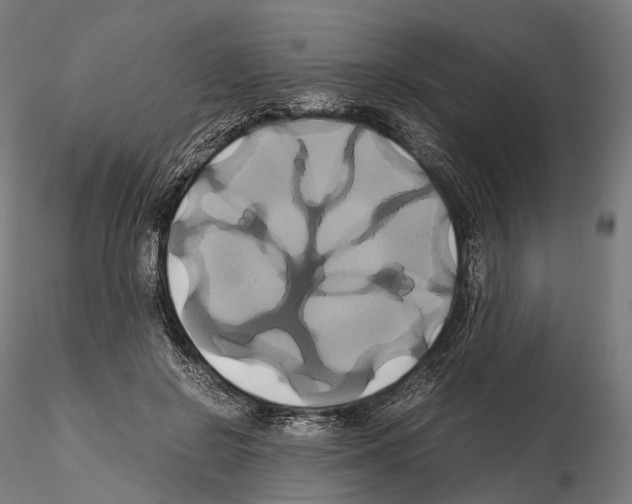 X0000114700550200912021110