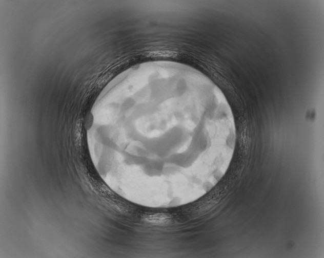 X0000114700551200912021110