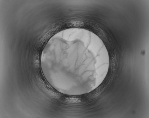 X0000114700553200912021110