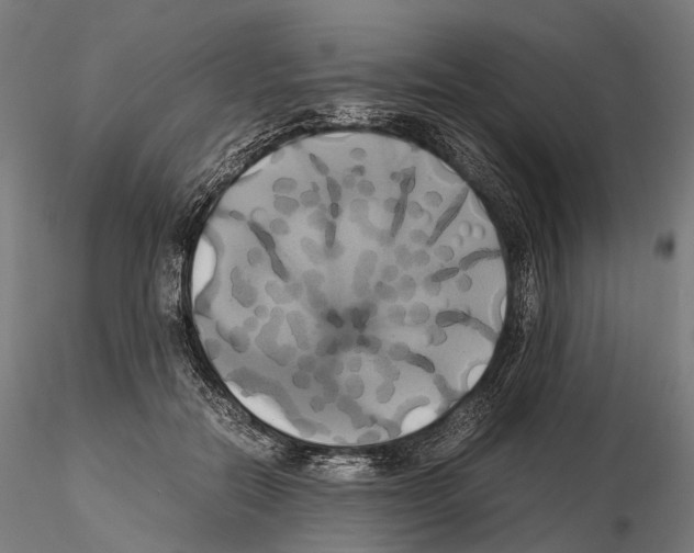 X0000114700554200912021110