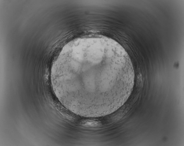 X0000114700555200912021110