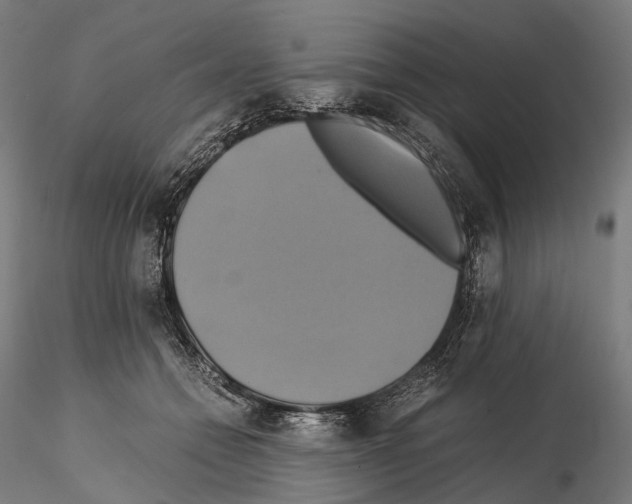 X0000114700558200912021110