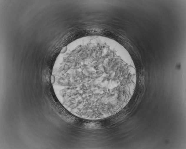 X0000114700561200912021110