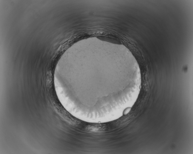 X0000114700563200912021110