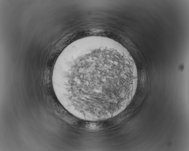 X0000114700565200912021110