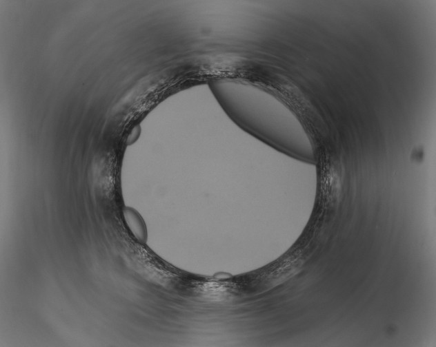 X0000114700566200912021110