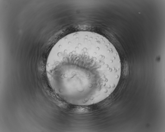 X0000114700569200912021110