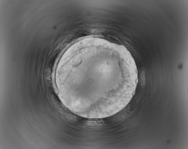 X0000114700571200912021110