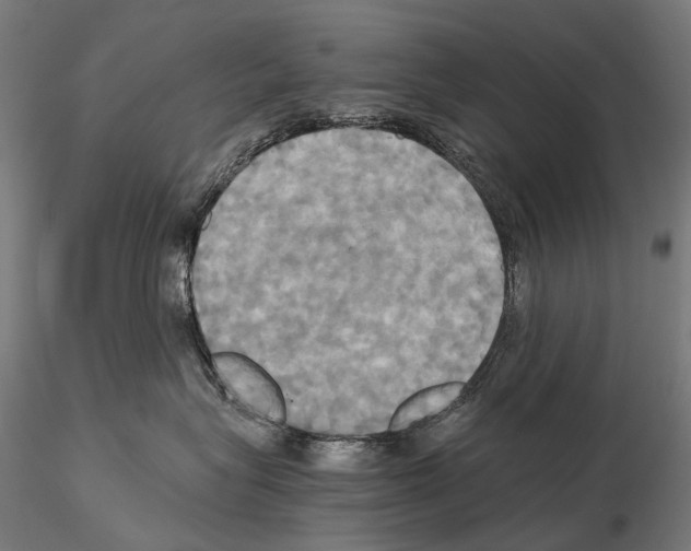 X0000114700575200912021110