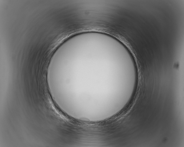 X0000114700577200912021110