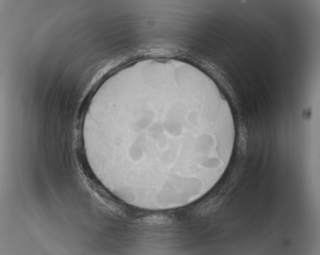 X0000114700578200912021110