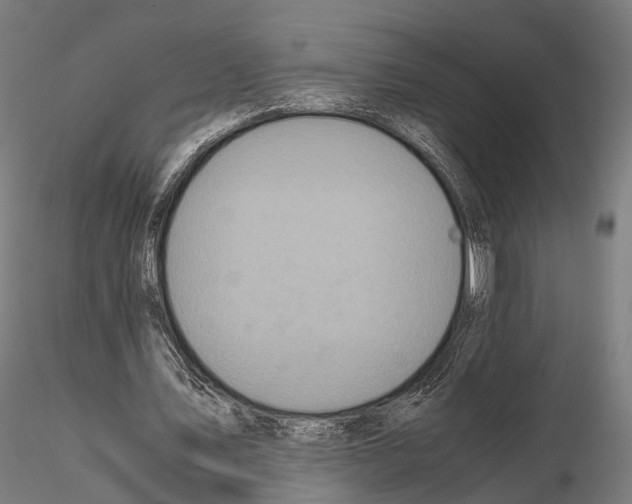 X0000114700579200912021110