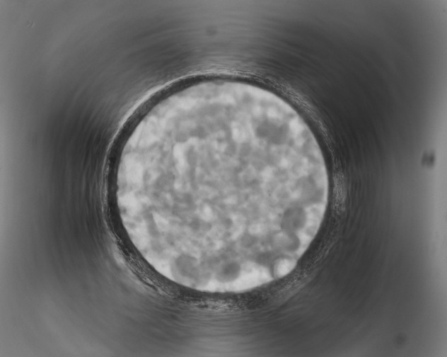 X0000114700580200912021110