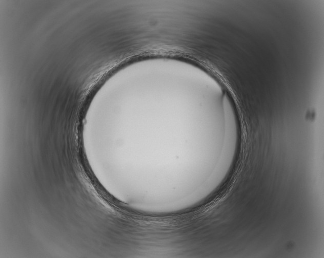 X0000114700581200912021110