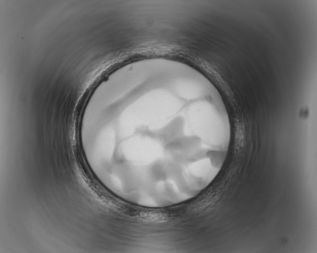 X0000114700582200912021110