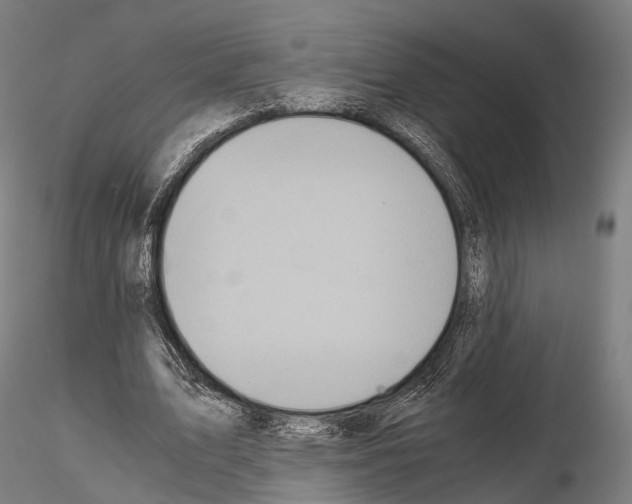 X0000114700583200912021110