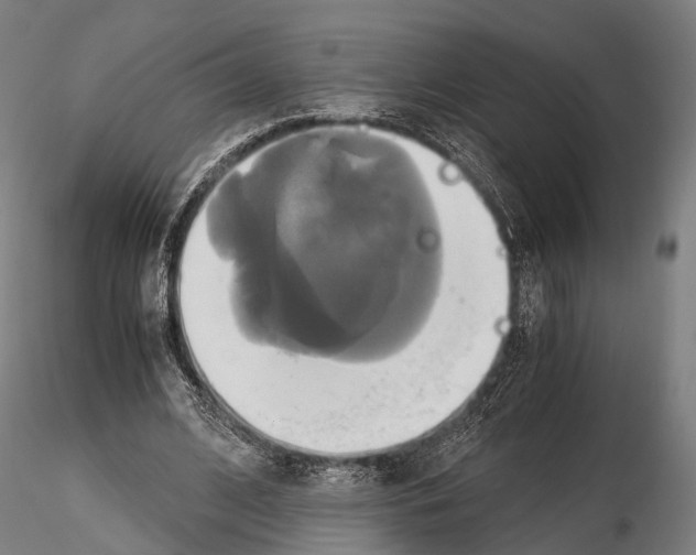 X0000114700584200912021110