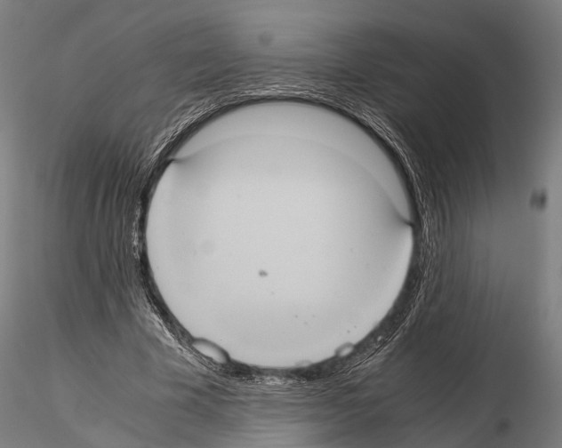 X0000114700585200912021110