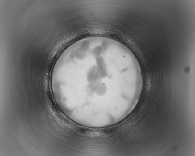 X0000114700586200912021110