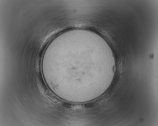 X0000114700587200912021110