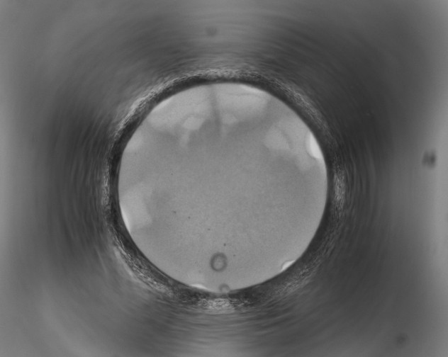 X0000114700588200912021110