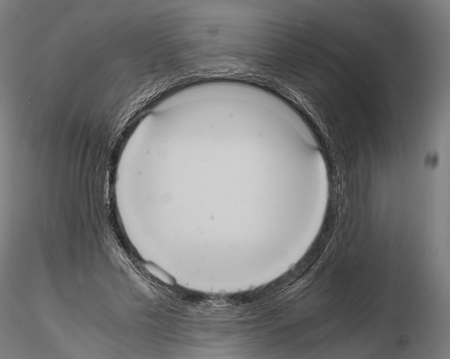 X0000114700589200912021110