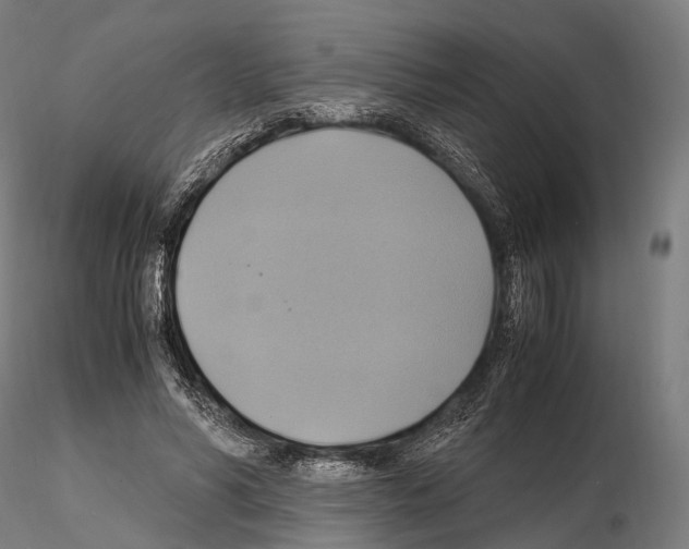 X0000114700590200912021110