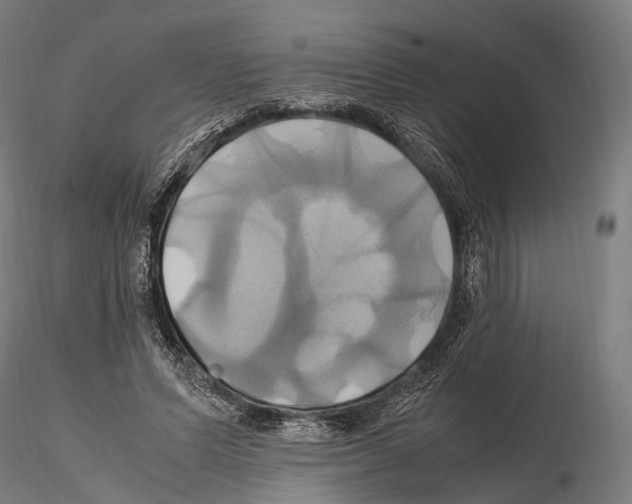 X0000114700591200912021110