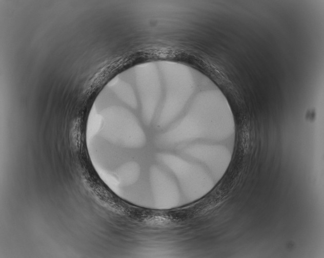 X0000114700594200912021110