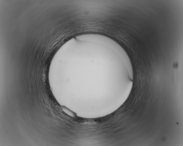 X0000114700595200912021110