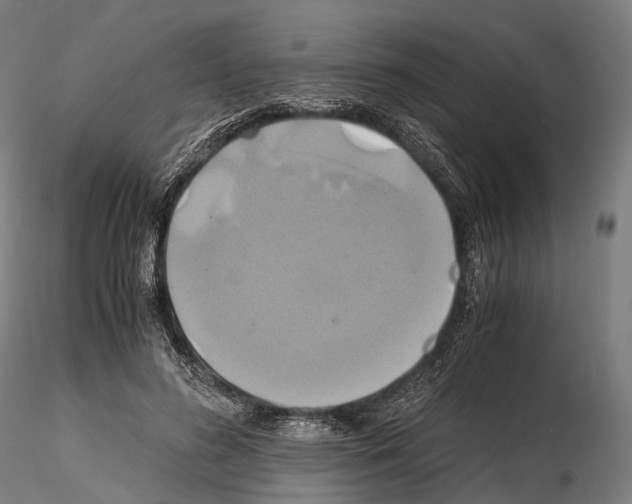 X0000114700596200912021110